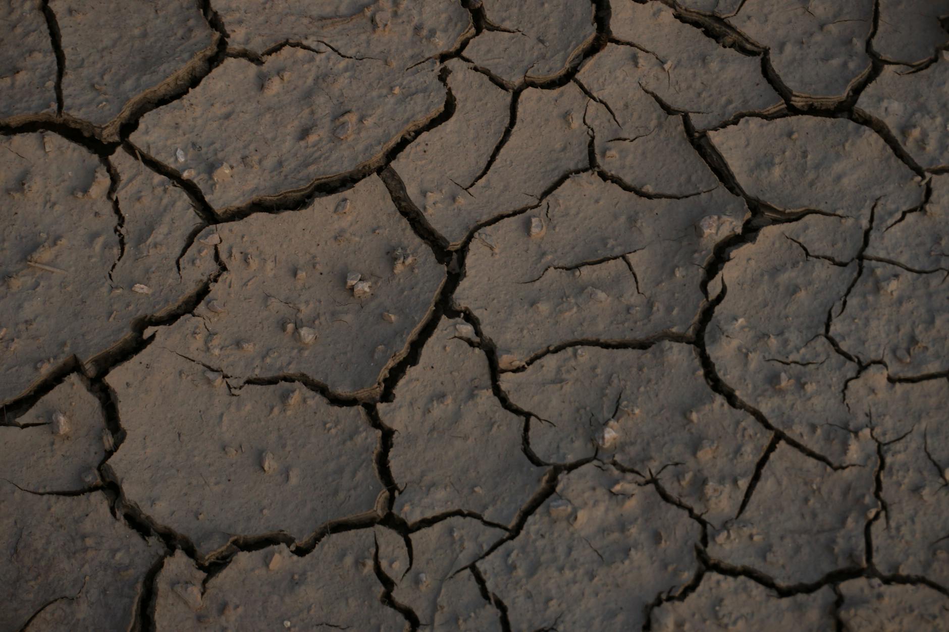 Toprak Ananın Ninnisi