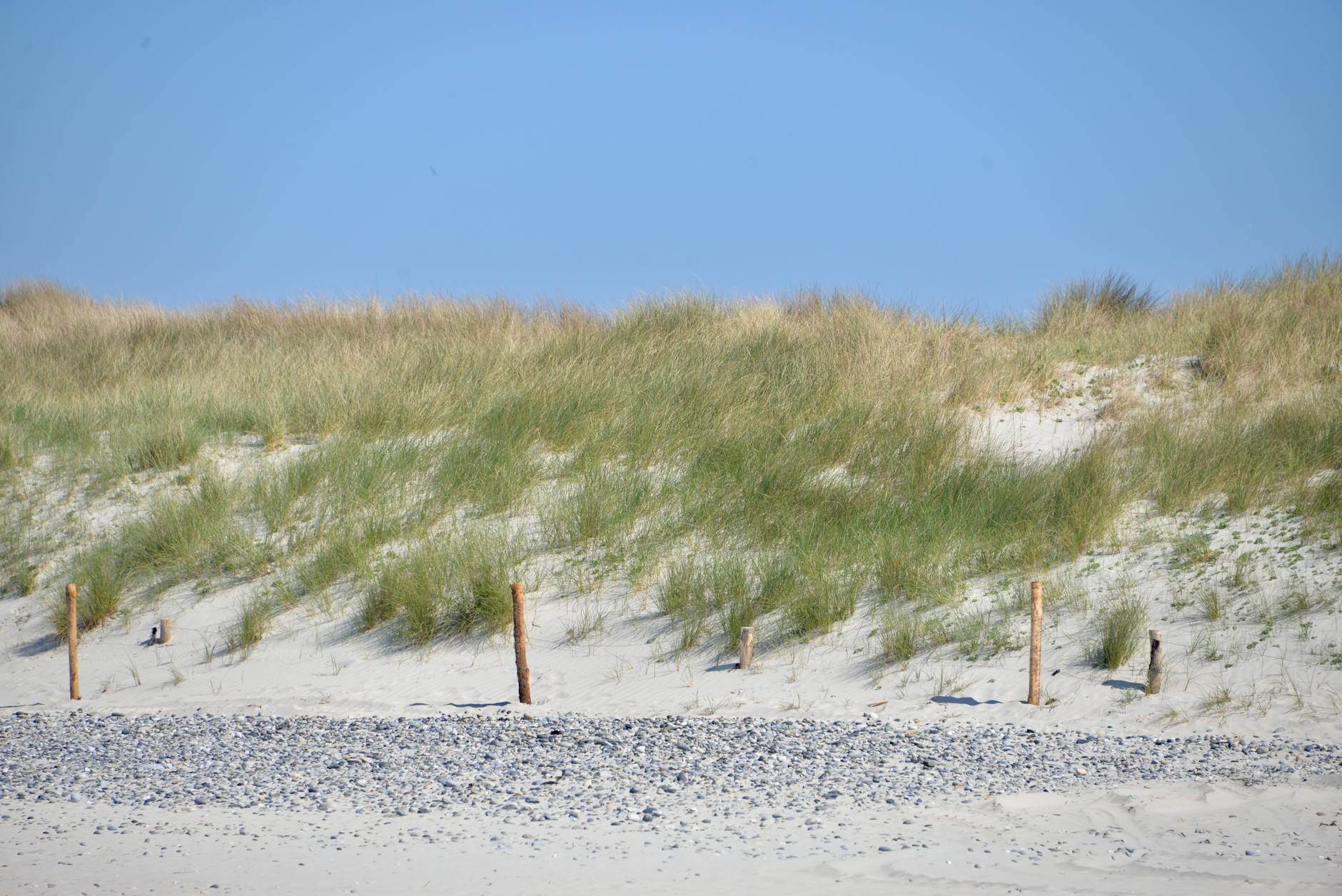 Rüzgârın Getirdiği Şiirler